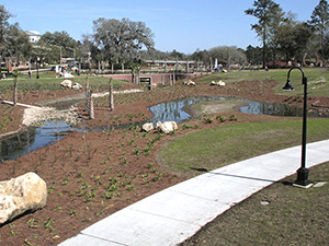 One of the many trails