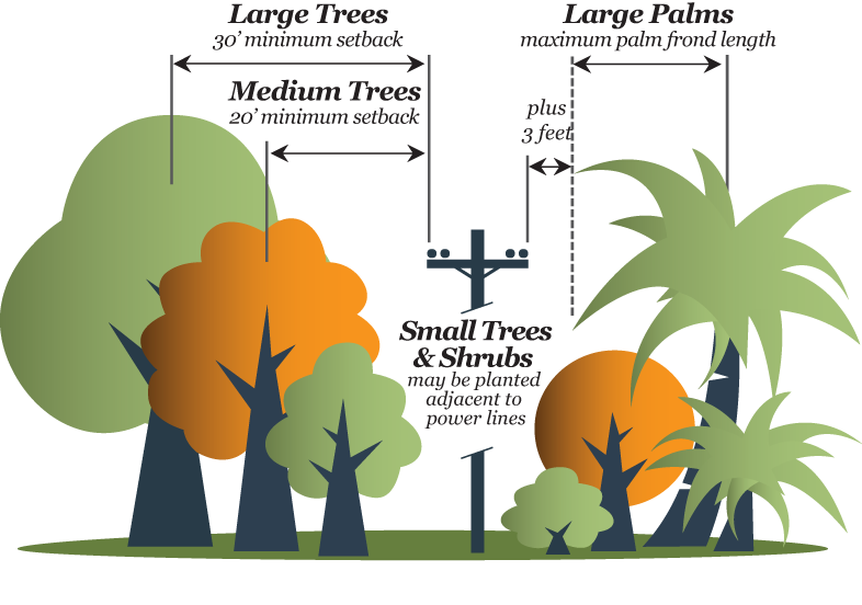diagram of Tree Sizes