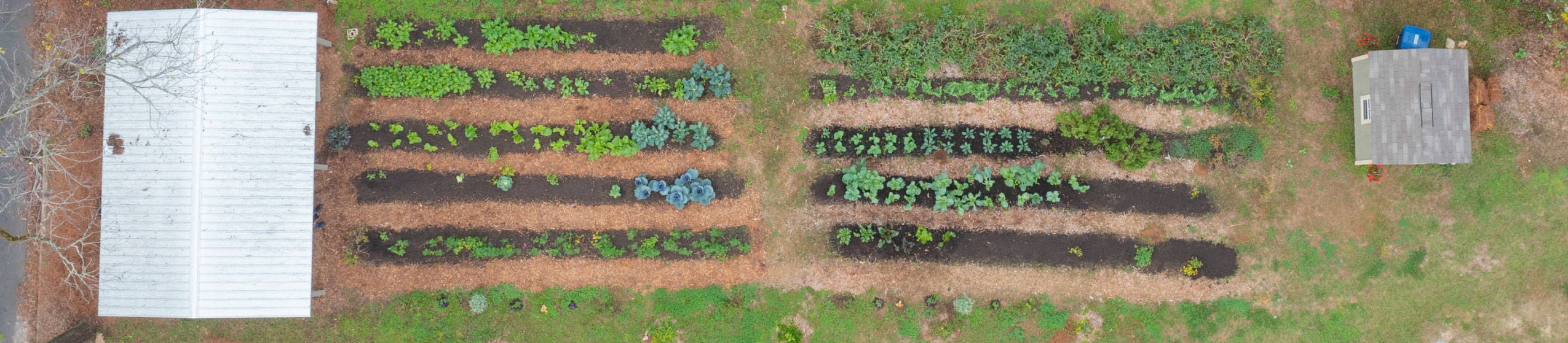 City Farm from Above